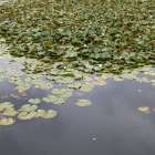 今日から7月いよいよ夏本番です。朝スッキリ起きられましたか、何となくだるくて何もする気になれないでしょうか？